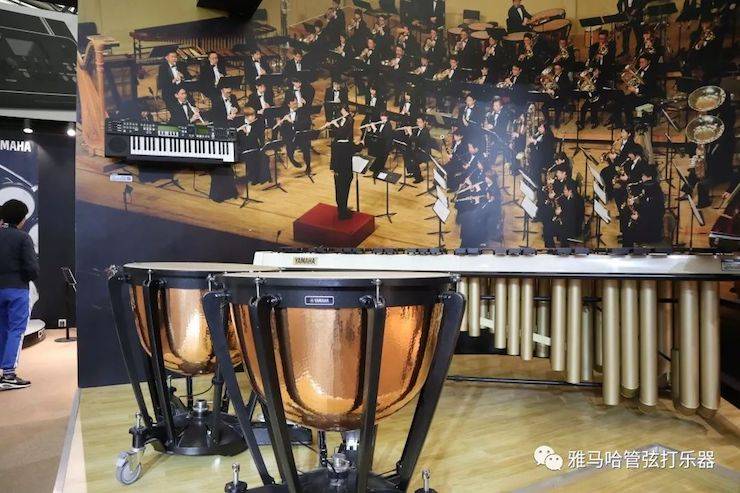 s36沙龙会乐器 试奏乐器