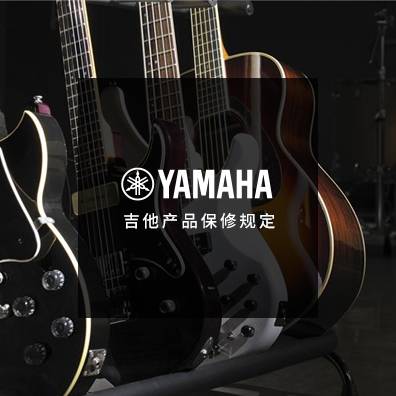 吉他、贝斯和音箱