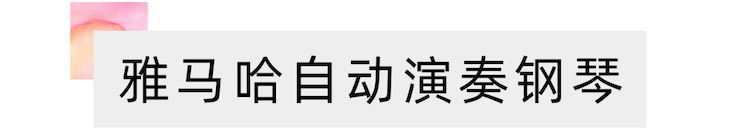 活动报道 | “科技助力，跨越时空”，小鹿纯子携手刘明康共享中日音乐盛宴