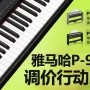 s36沙龙会P-95数码钢琴，调价行动即日展开 