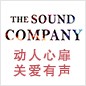 s36沙龙会参展Music China 2013 