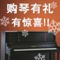s36沙龙会钢琴购琴有礼 买一赠一音乐无限